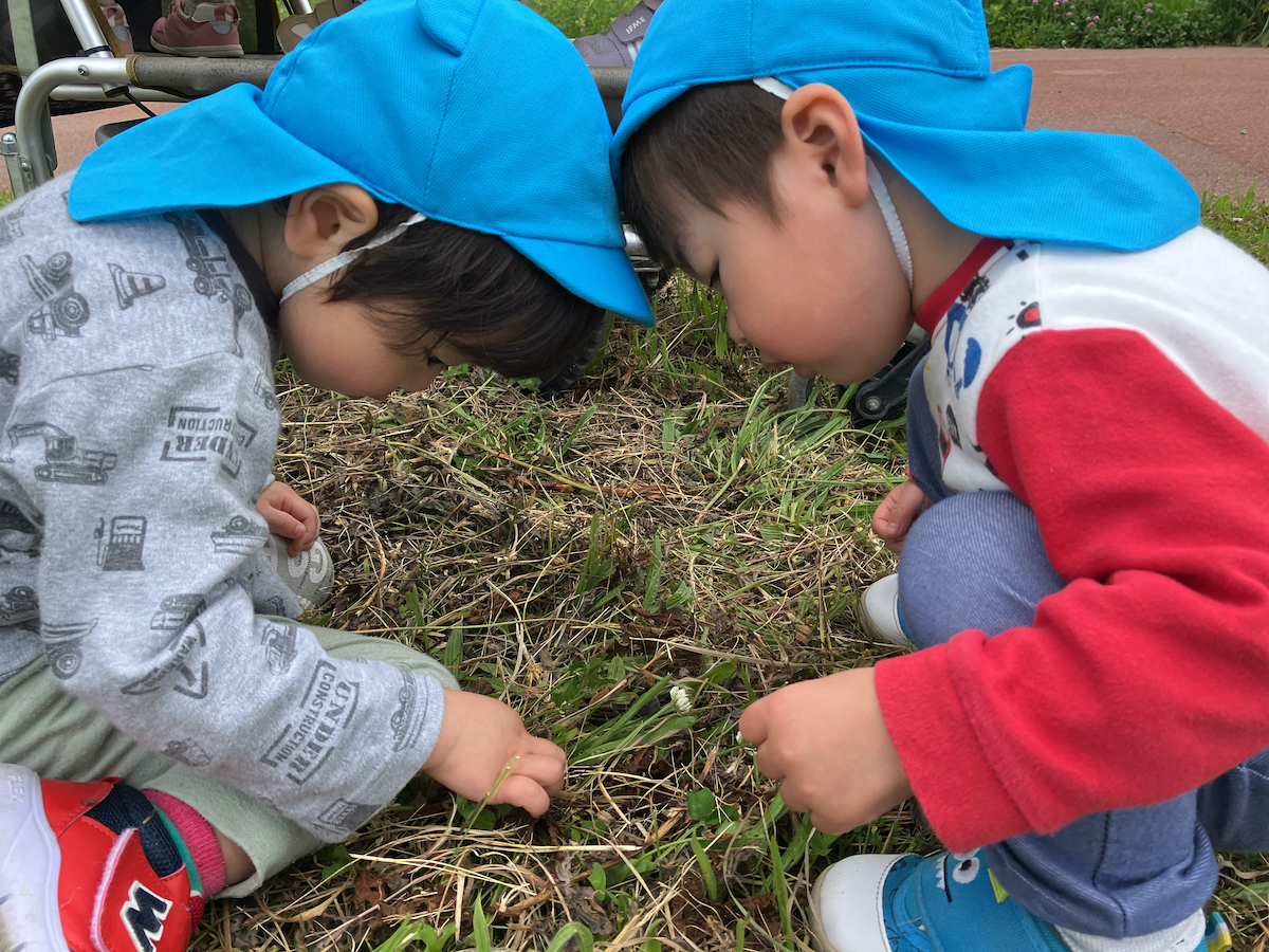 5月の様子
